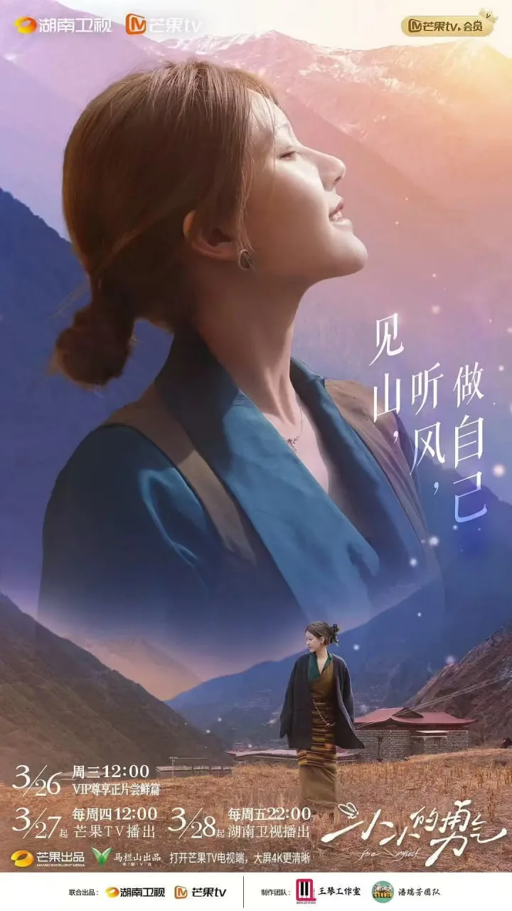 小小的勇气海报