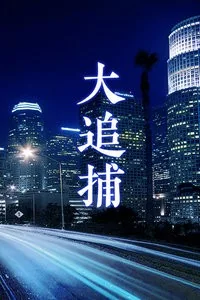大追捕海报