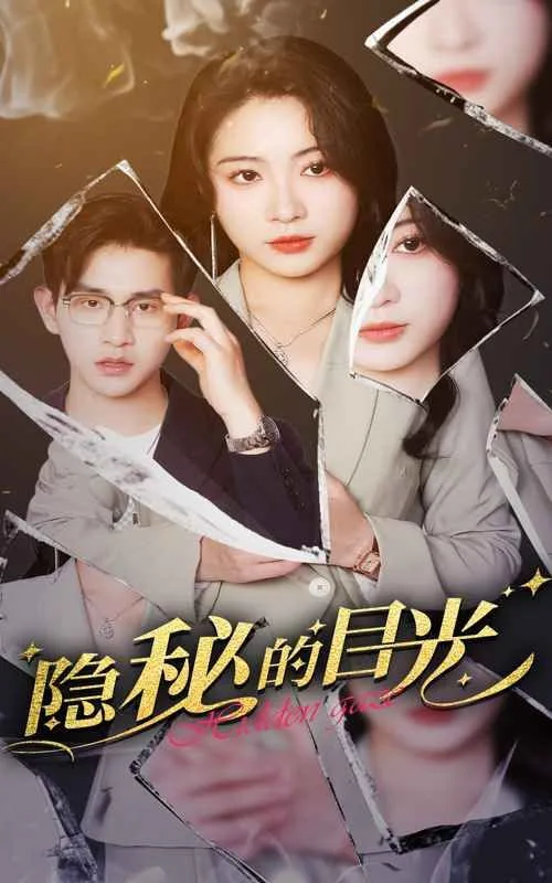 隐秘的目光海报