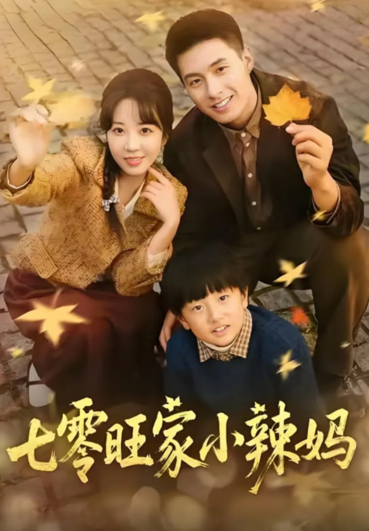 七零旺家小辣妈海报