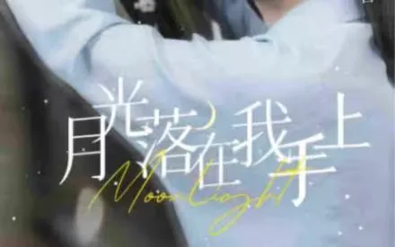月亮落在我手上海报