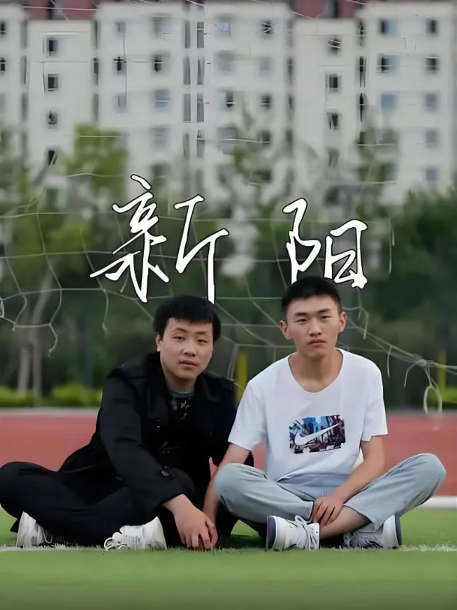 新阳 2022海报