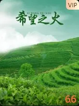 希望之火海报
