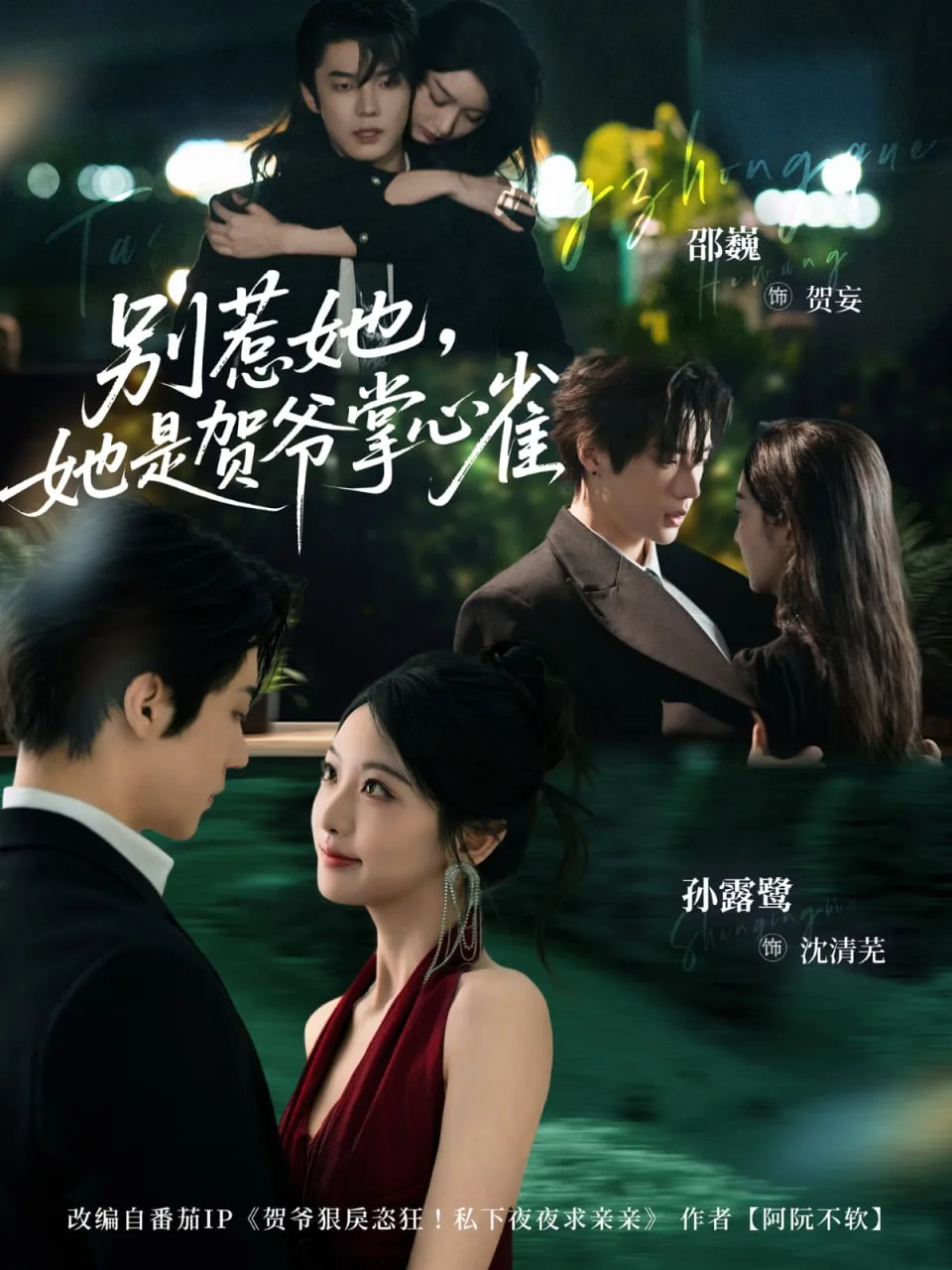 别惹她，她是贺爷掌心雀海报