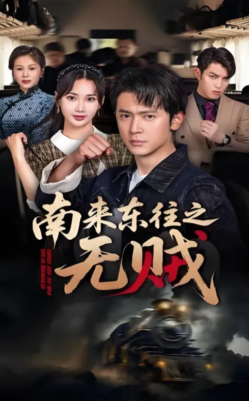 南来东往之无贼海报