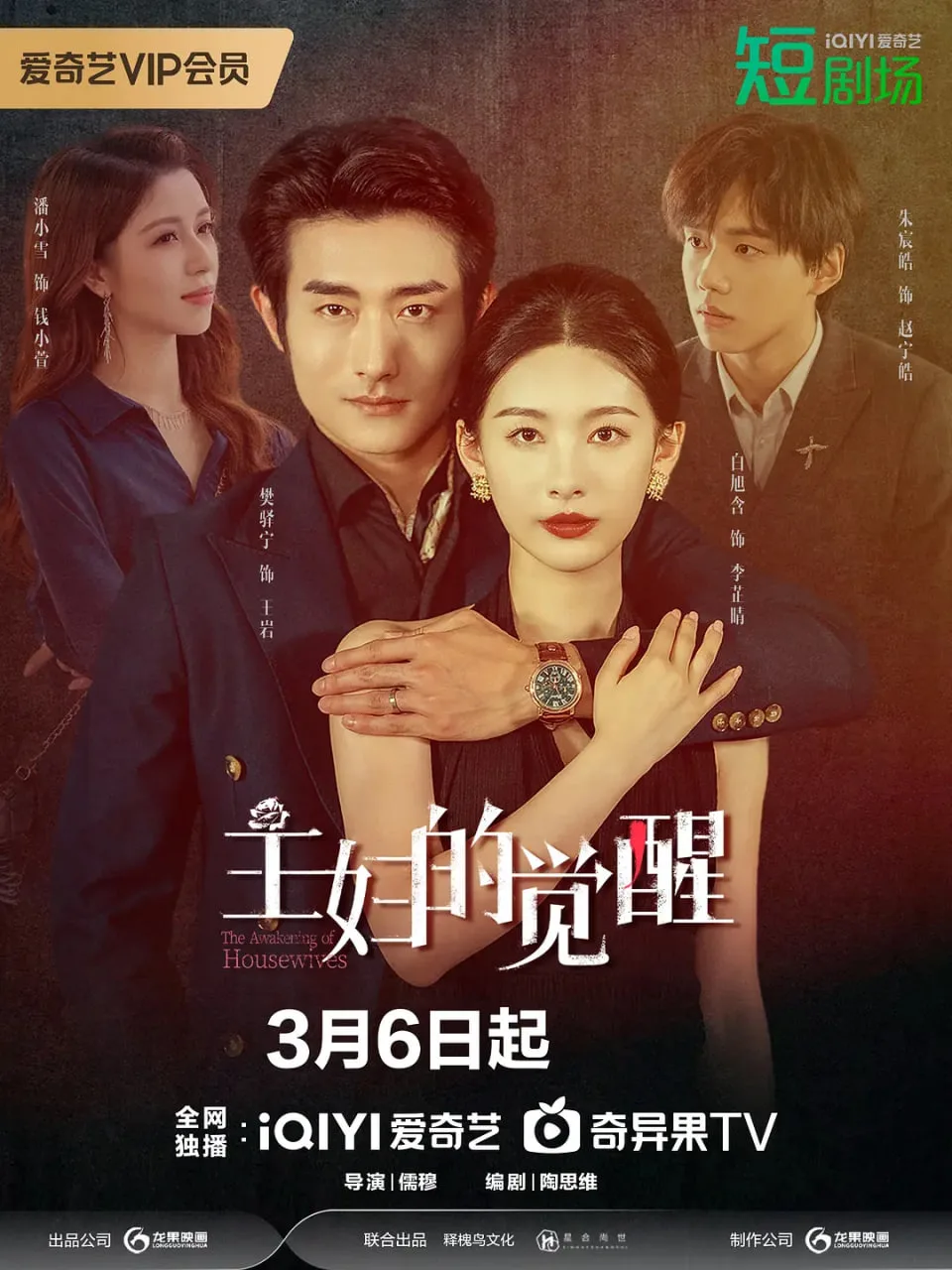 主妇的觉醒海报