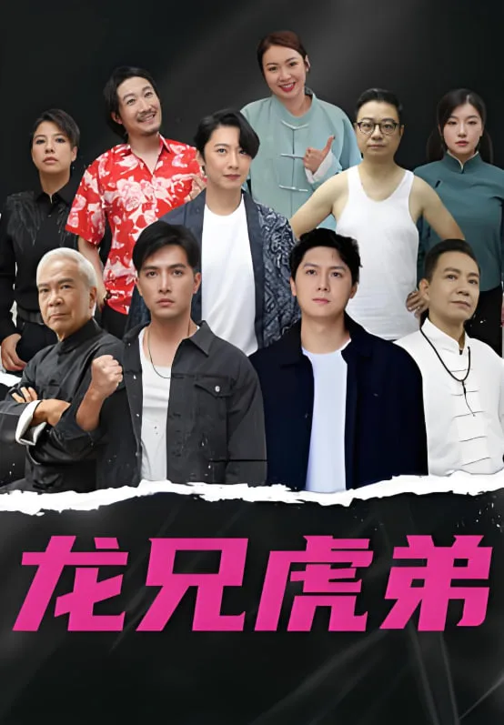 龙虎兄弟 国语版海报