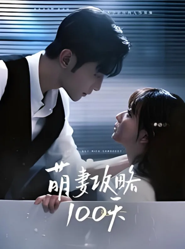 萌妻攻略100天海报