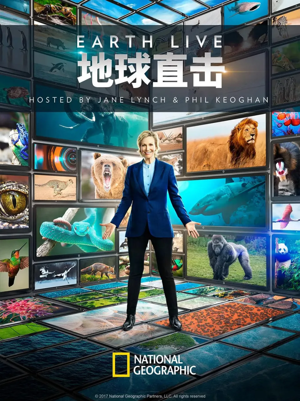 地球直击海报
