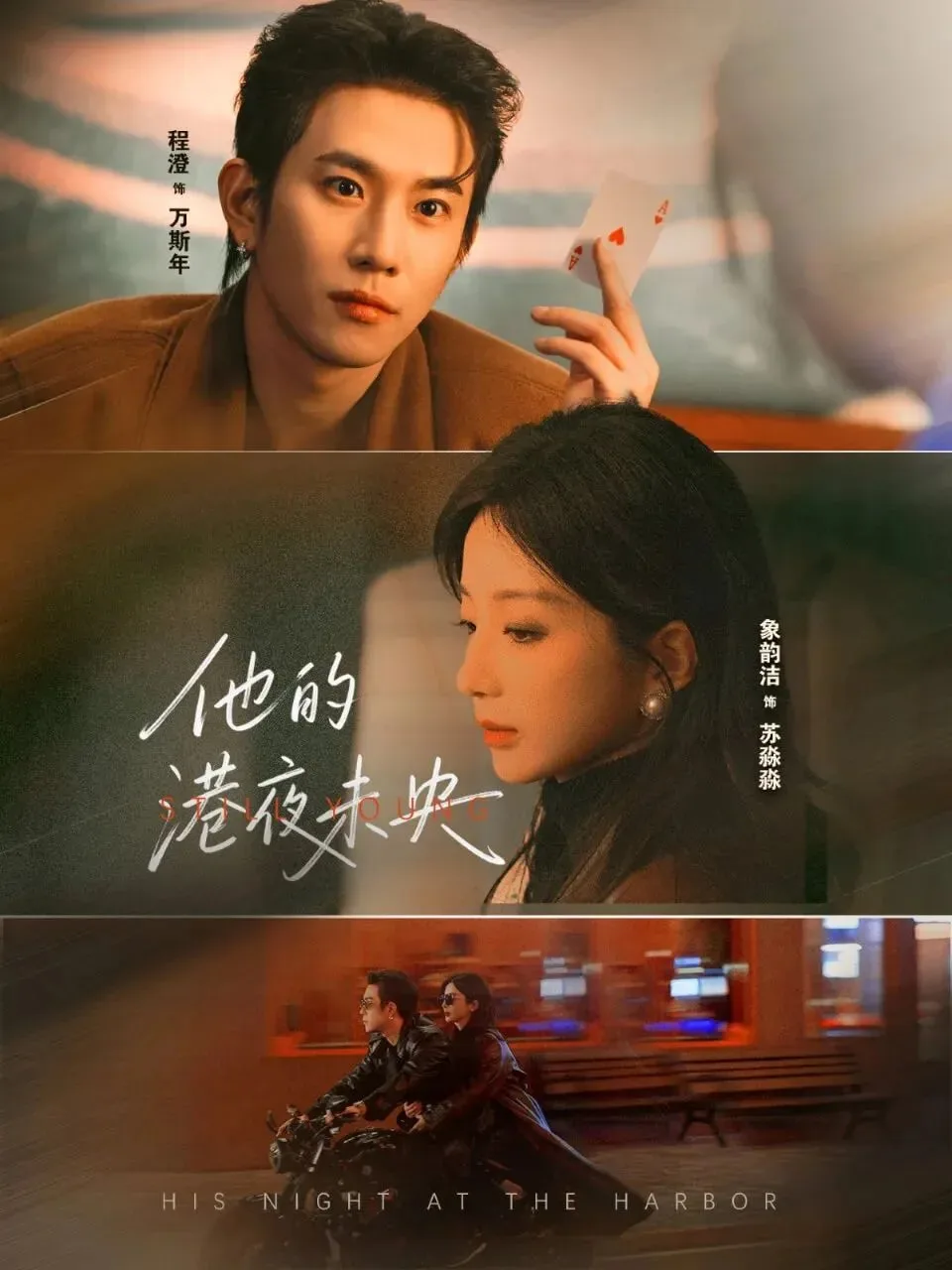 他的港夜未央海报