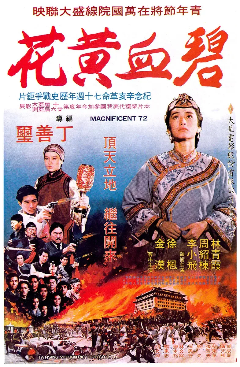 碧血黄花海报