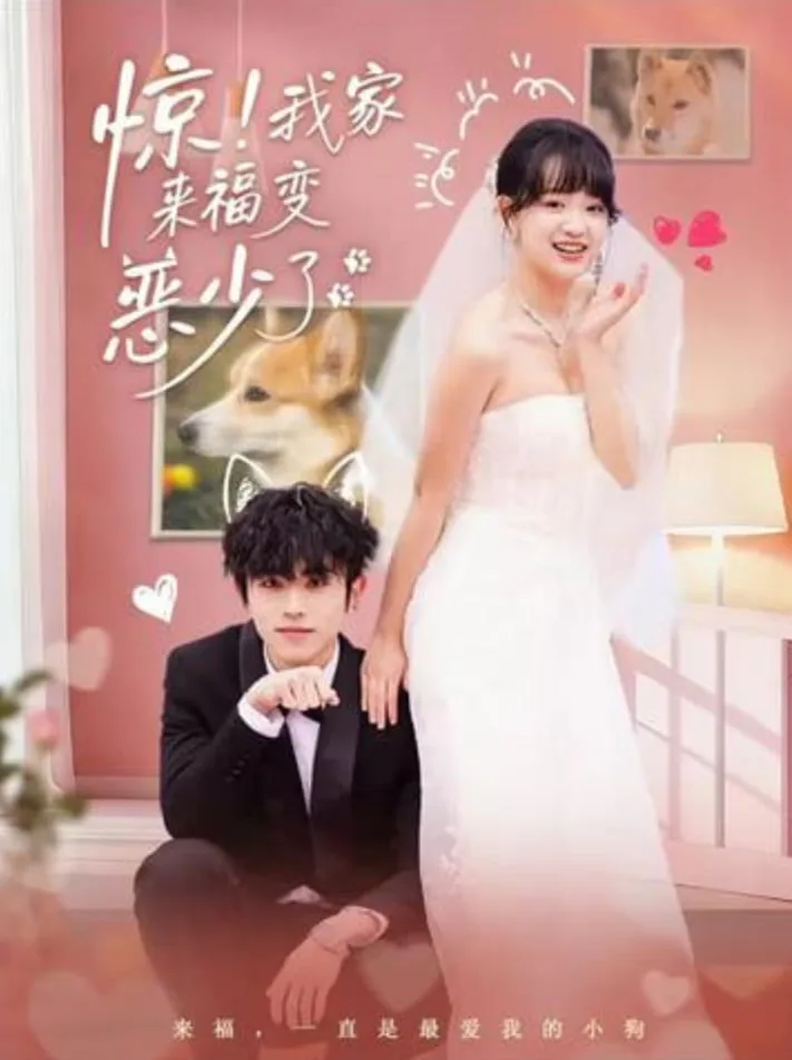 惊！我家来福变恶少了（忠犬变恶少）海报
