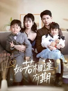 如若相逢有期海报