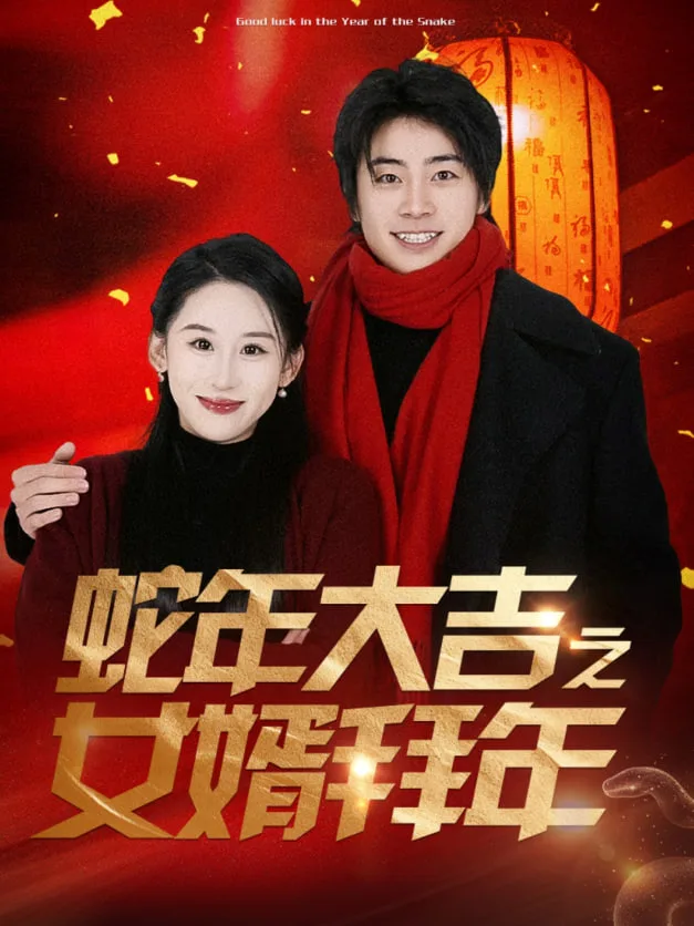 蛇年大吉之女婿拜年海报