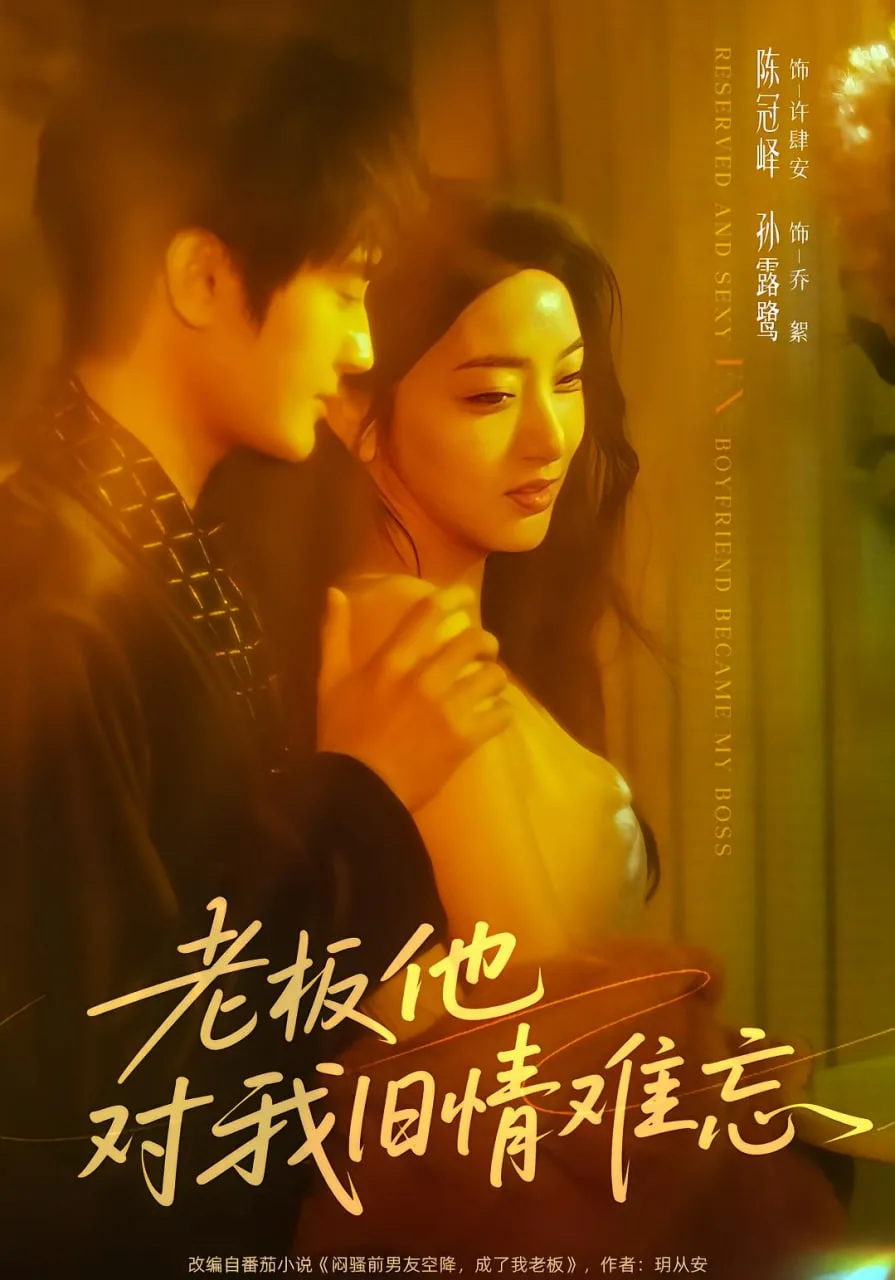老板他对我旧情难忘海报