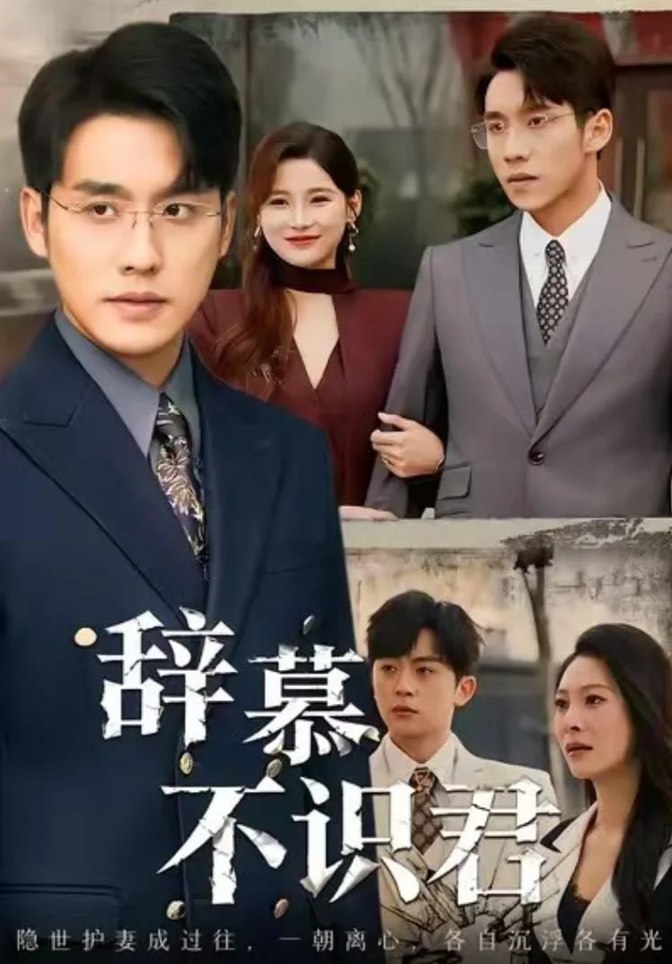 辞慕不识君(七年情深终成侮)海报
