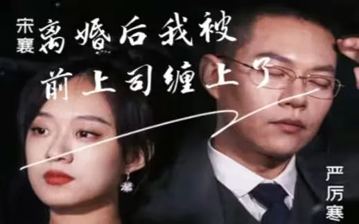 离婚后我被前上司缠上了海报