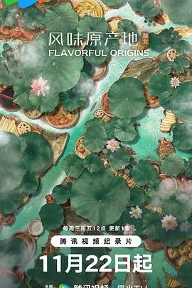风味原产地·湖北海报