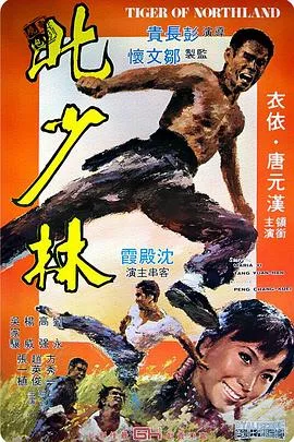 北地虎北少林海报