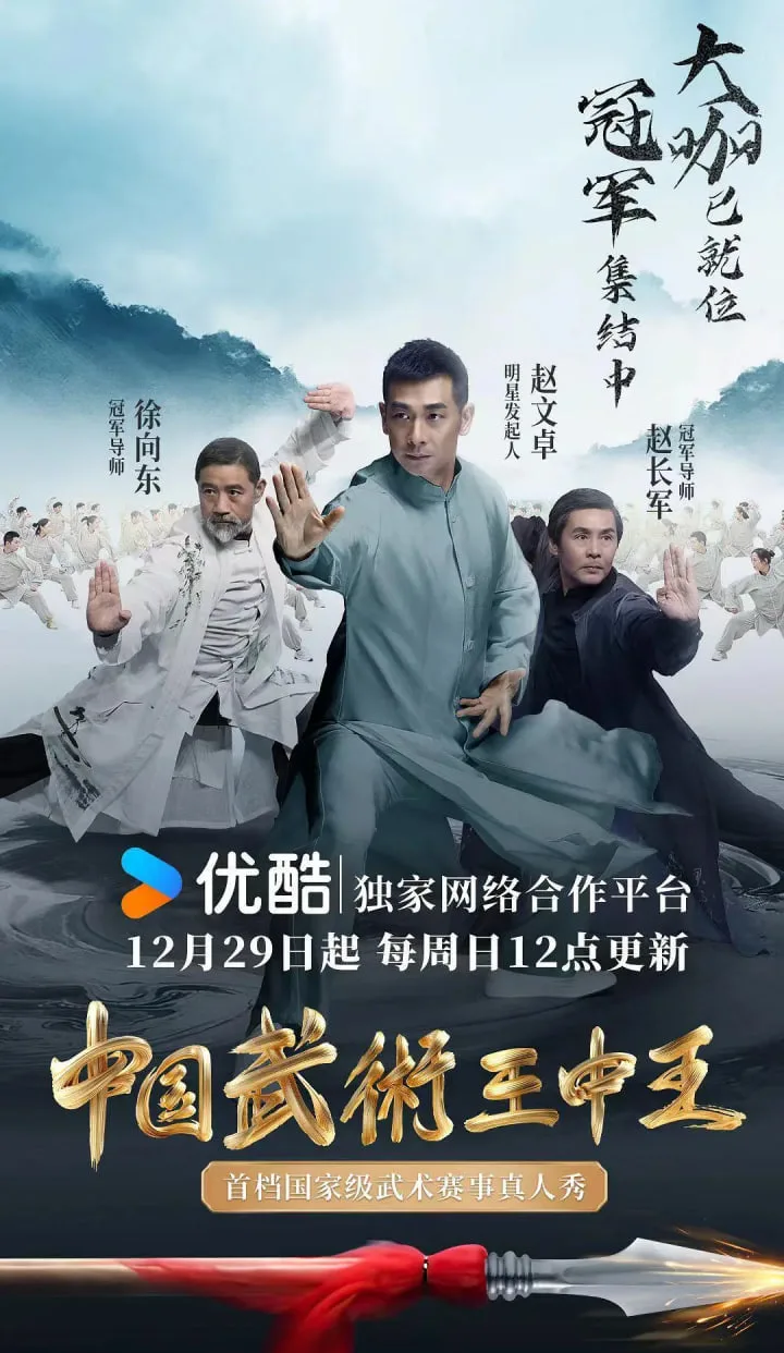 中国武术王中王海报