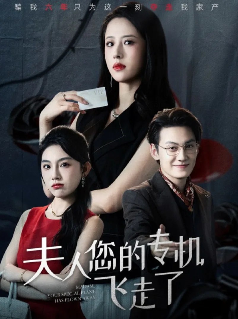 夫人您的专机飞走了海报