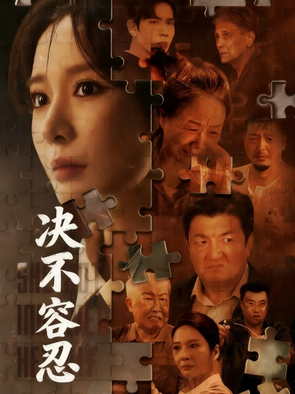 决不容忍（以身入局的她）海报