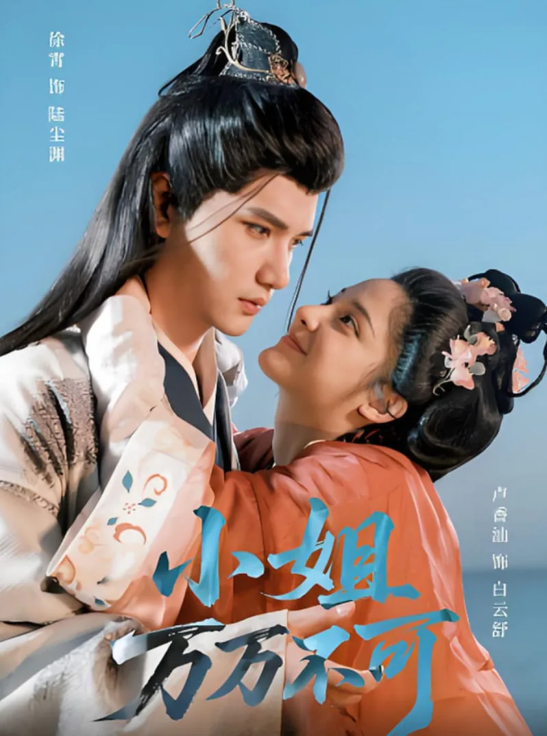 小姐万万不可海报