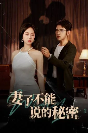 妻子不能说的秘密海报