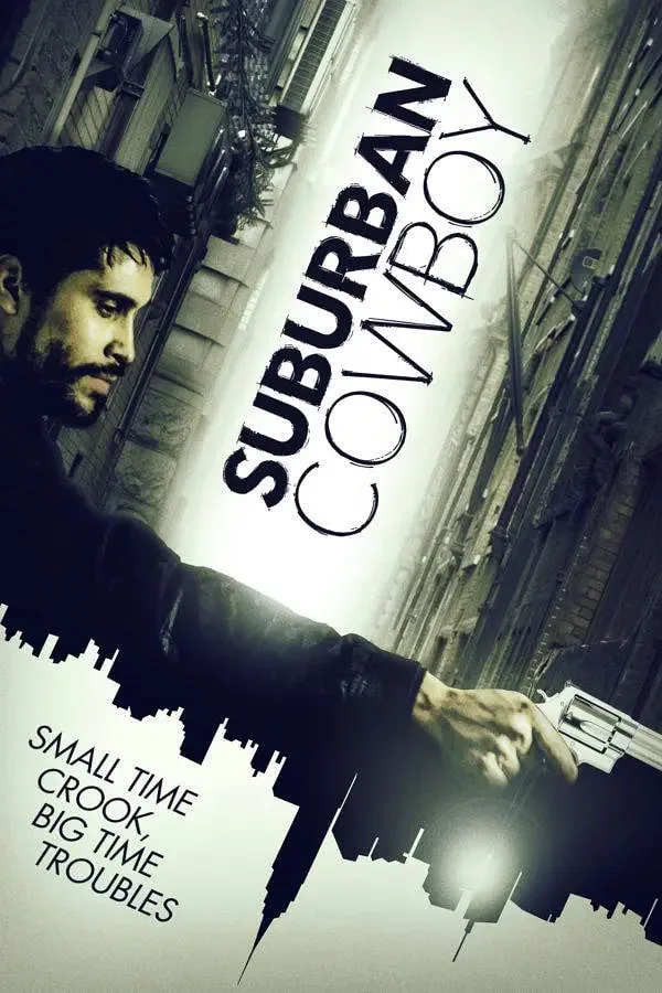 城郊的游侠海报