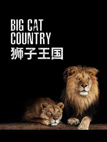 狮子王国海报