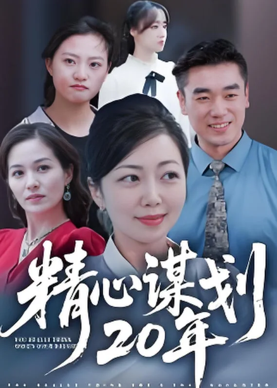 精心谋划20年海报