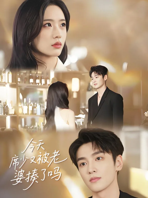 今天席少又被老婆揍了吗海报