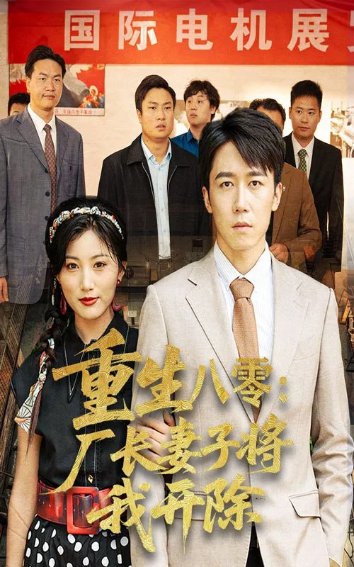 重生八零厂长妻子将我开除海报