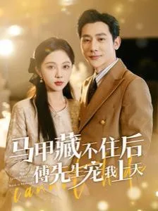 马甲藏不住后傅先生宠我上天海报