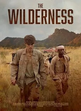 旷野海报