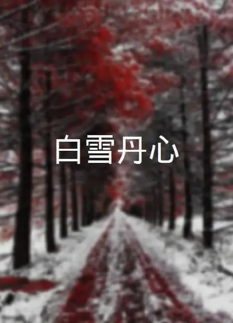 白雪丹心海报