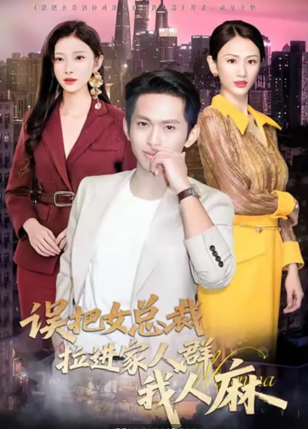 误把女总裁拉进家人群我人麻海报