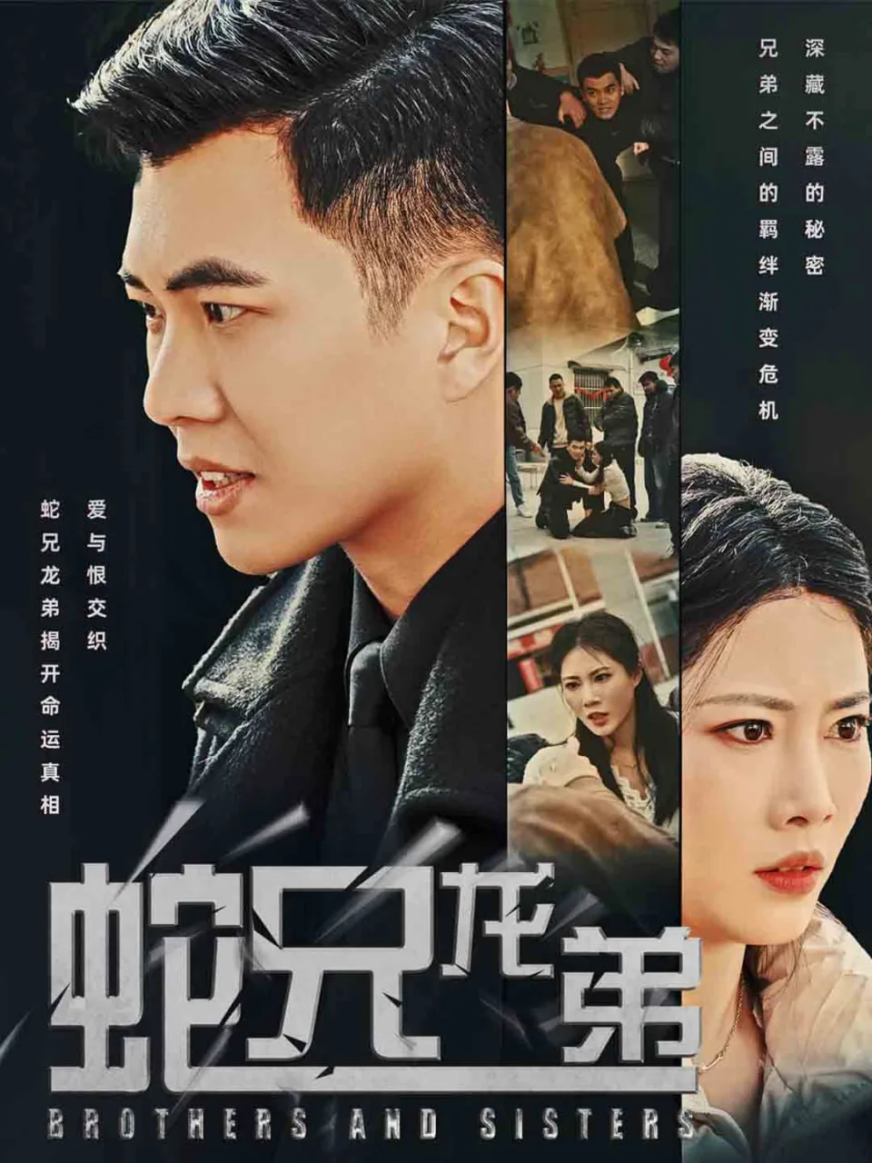 蛇兄龙弟海报