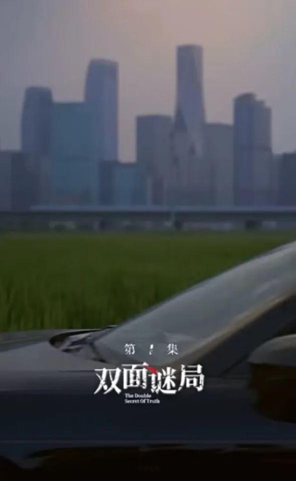 双面婚局海报