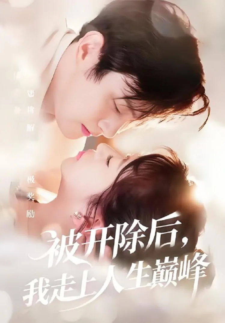 被开除后，我走上人生巅峰海报