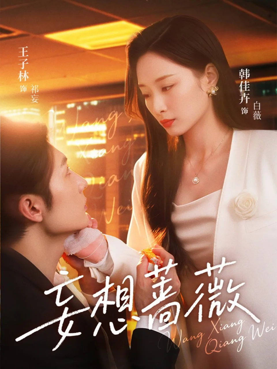 妄想蔷薇海报