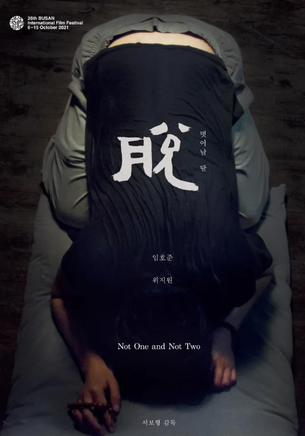 不是一，也不是二海报