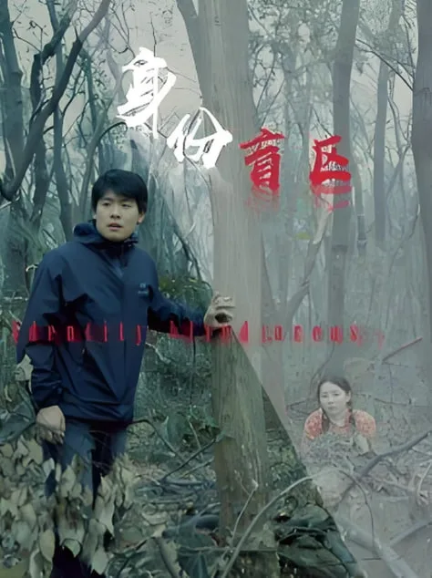身份盲区海报