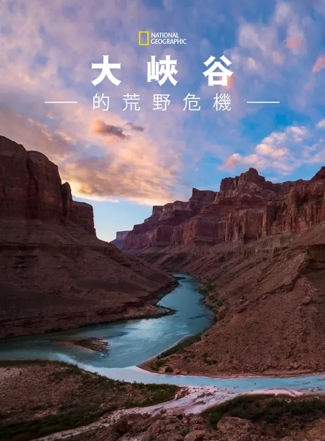 大峡谷的荒野危机海报