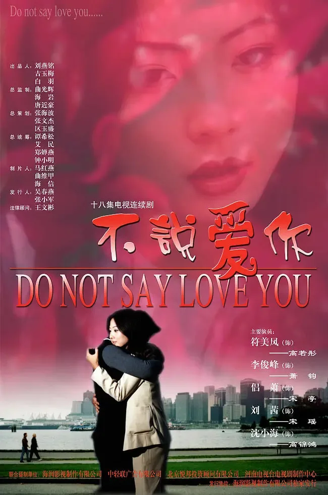 不说爱你海报