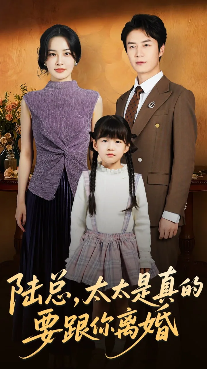 陆总太太是真的要跟你离婚海报