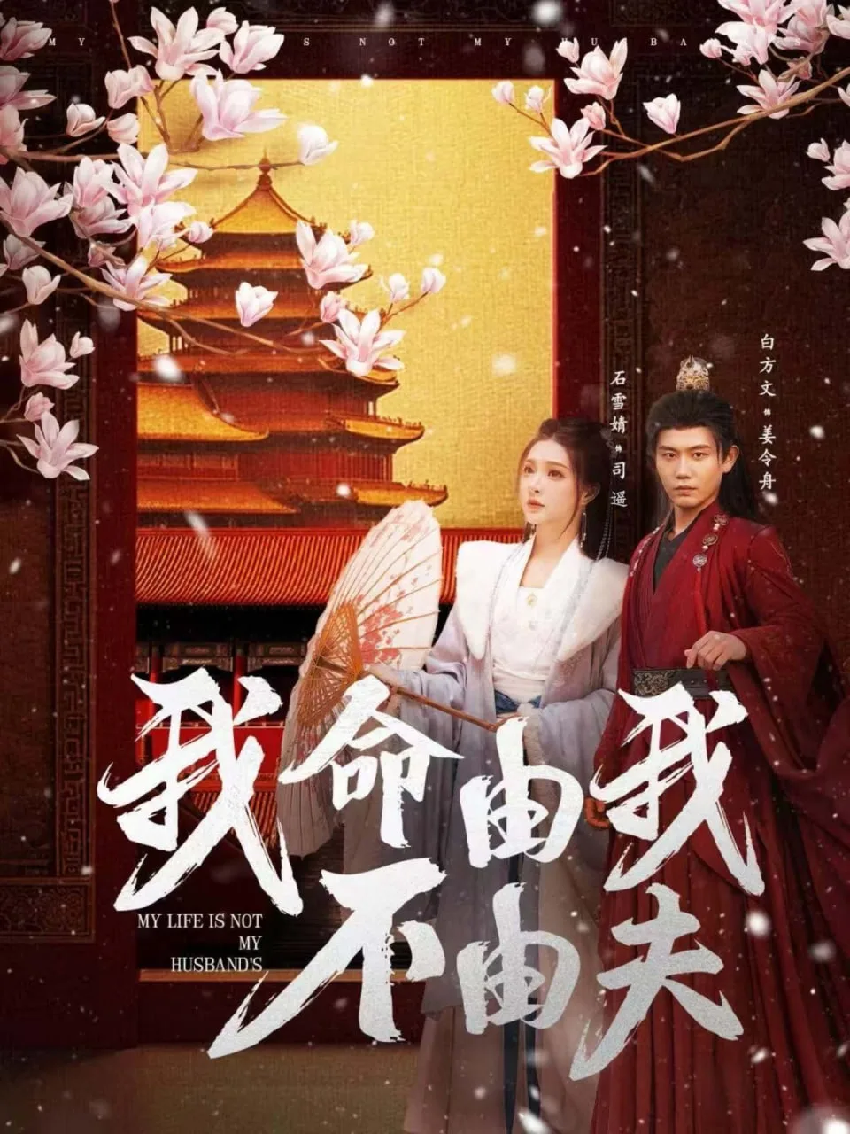 我命由我不由夫海报