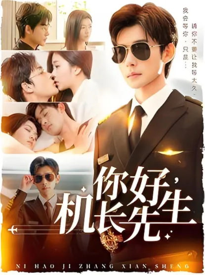 你好机长先生海报