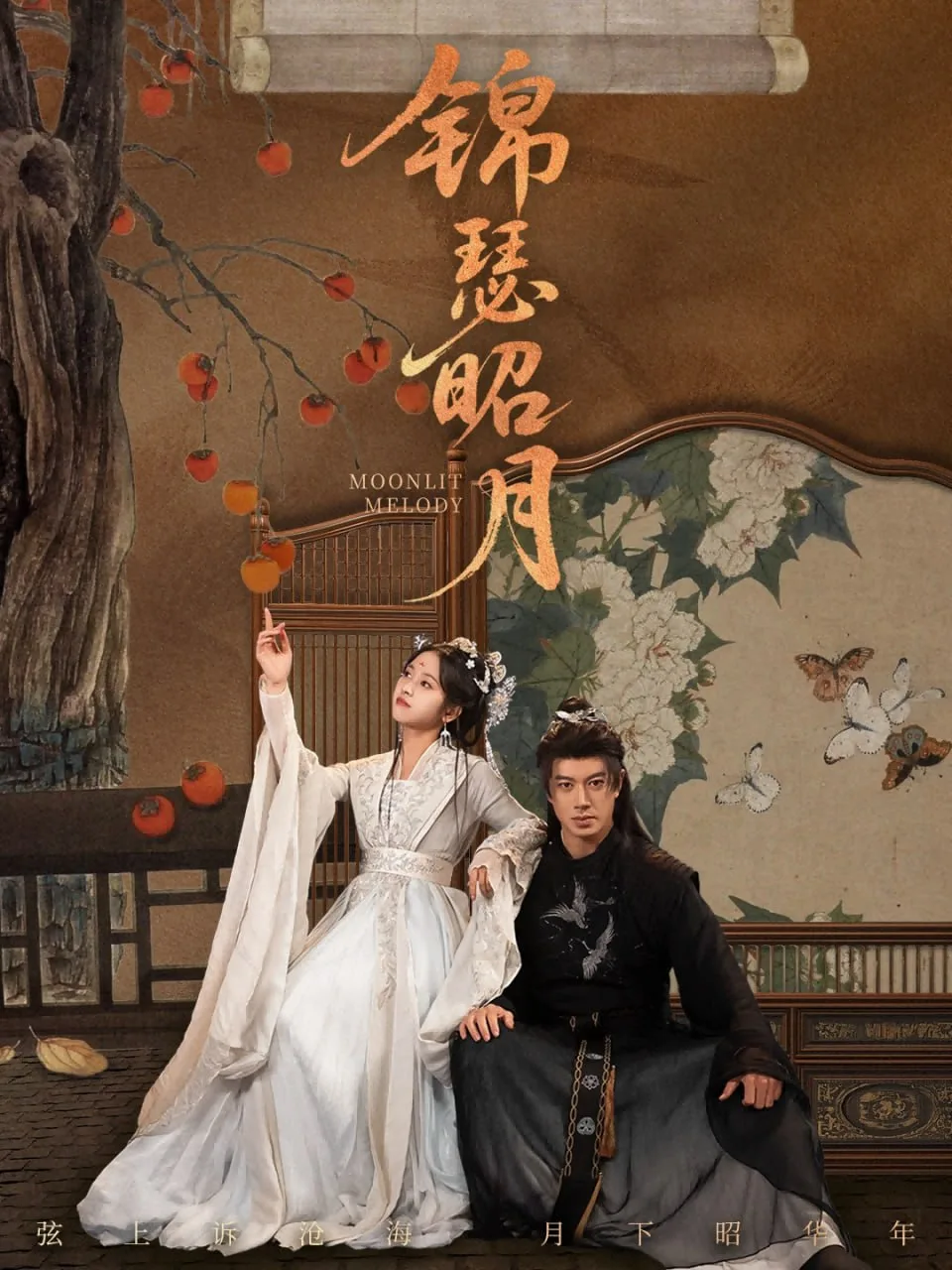 锦瑟昭月海报