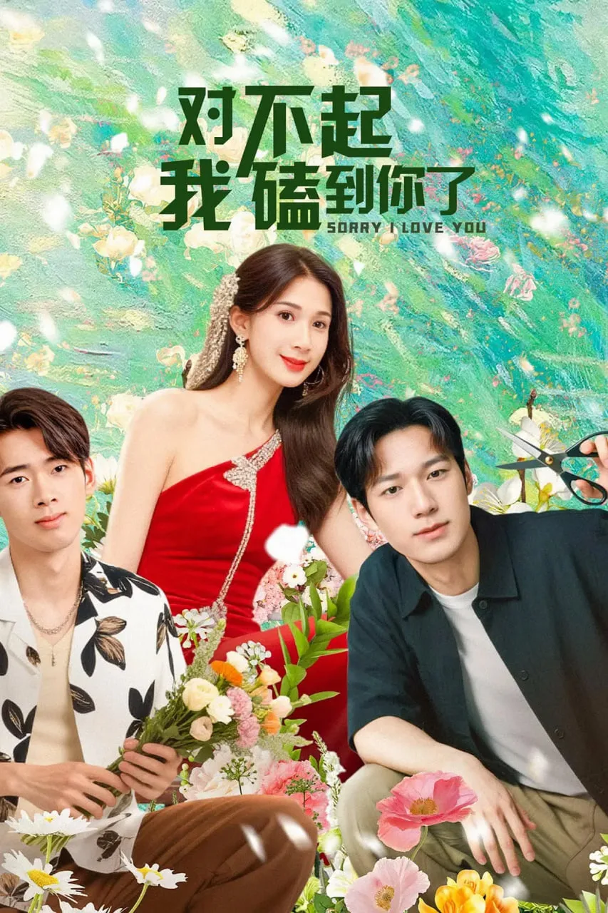 对不起，我磕到你了海报